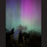 Image: The northern lights can be seen in Carnation on Friday, May 10, 2024.