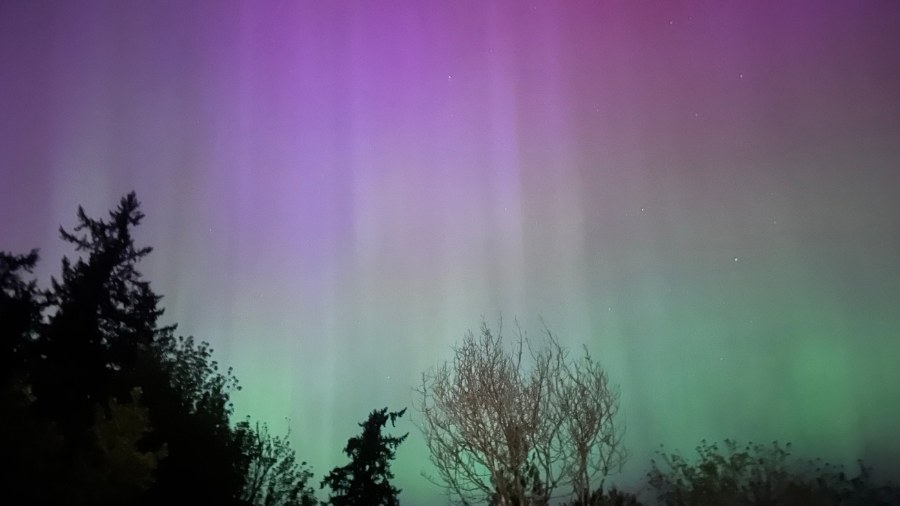 Image: The northern lights can be seen in Carnation on Friday, May 11, 2024. (Photo: Ben Huffman, K...