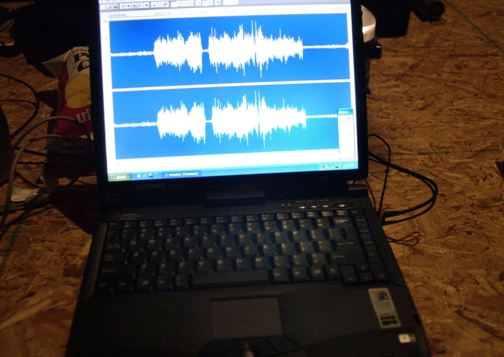 Shown here are the sound waves from the Electronic Voice. (Photo By MediaNews Group/Reading Eagle v...