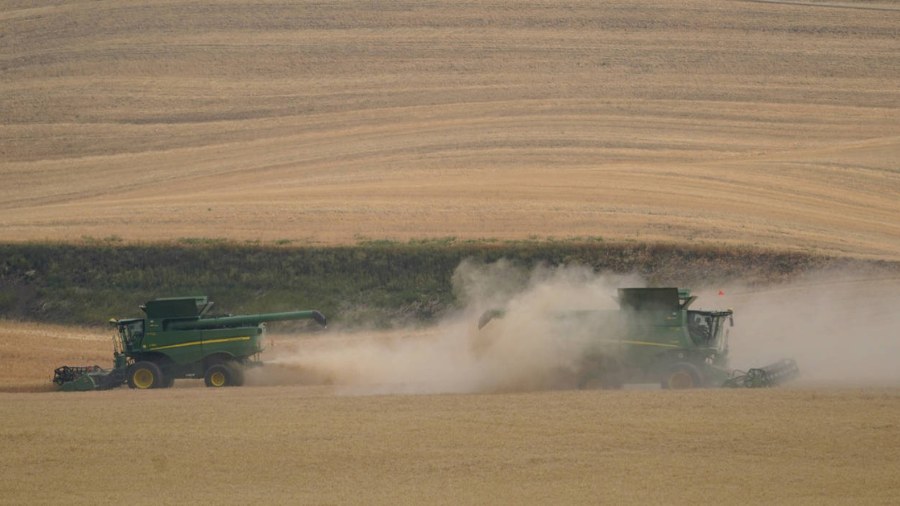 Two combines harvest wheat on Aug. 5, 2021, near Pullman. The National Weather Service classified t...