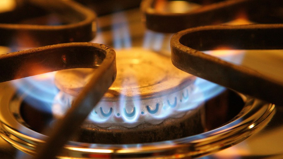 Image: A burner on a stove emits blue flames from natural gas in Des Plaines, Illinois in 2005....