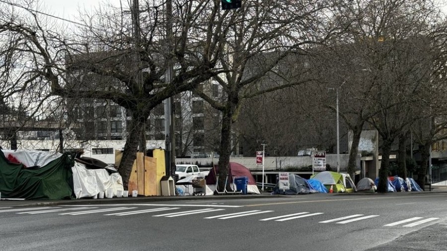 Image: A Seattle homeless encampment is seen on a city street....