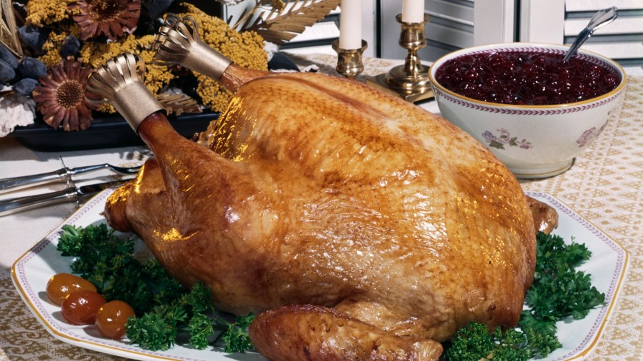 thanksgiving turkey...